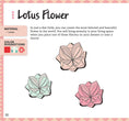 Load image into Gallery viewer, The Ultimate Origami Book