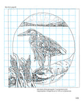 Load image into Gallery viewer, Complete Guide to Bird Carving