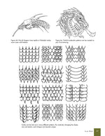 Great Book of Dragon Patterns, Revised and Expanded Third Edition