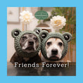Load image into Gallery viewer, Sookie and Ivy Friends Forever!