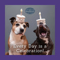 Load image into Gallery viewer, Sookie and Ivy Every Day Is a Celebration!