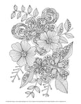 Load image into Gallery viewer, Creative Coloring Botanicals