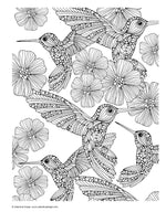 Creative Coloring Patterns of Nature