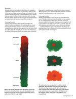 Jackie Shaw's Learn to Paint Fruits & Vegetables