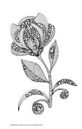Load image into Gallery viewer, Color Calm Coloring Book