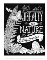Chalk-Style Nature Coloring Book