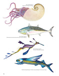 Load image into Gallery viewer, Wild Oceans Coloring Book