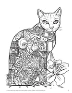 Happy Cats Coloring Book