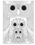 Load image into Gallery viewer, Hello Angel Owls Wild & Whimsical Coloring Collection
