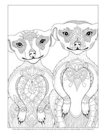 Hello Angel Jungle Safari Coloring Collection