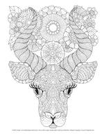 Hello Angel Jungle Safari Coloring Collection