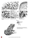 Load image into Gallery viewer, Learn to Draw Realistic Animals with Pen & Marker