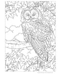 Load image into Gallery viewer, Hidden Animals Coloring Book