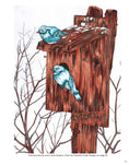 Load image into Gallery viewer, Joys of Nature Coloring Book