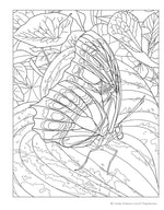 Joys of Nature Coloring Book
