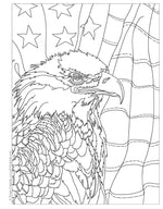 America the Beautiful Coloring Book