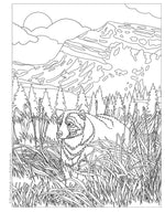 America the Beautiful Coloring Book