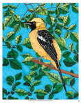 Load image into Gallery viewer, Birds, Butterflies, and Bees