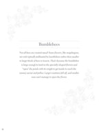 Birds, Butterflies, and Bees