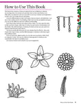 Load image into Gallery viewer, Drawing Florals in 5 Easy Steps