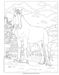 Load image into Gallery viewer, Horses Coloring Book