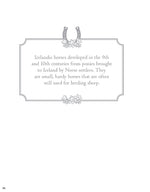 Horses Coloring Book