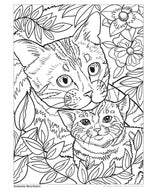 Cats & Kittens Coloring Book