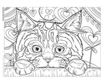 Cats & Kittens Coloring Book
