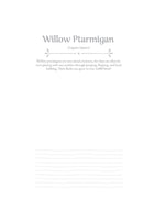 Birds at Home Coloring Book (Revised Edition)