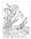 Load image into Gallery viewer, Birds at Home Coloring Book (Revised Edition)