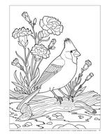 Birds at Home Coloring Book (Revised Edition)