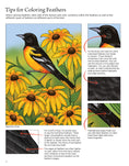 Load image into Gallery viewer, Birds at Home Coloring Book (Revised Edition)
