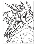 Load image into Gallery viewer, Super Cool Bugs and Spiders Coloring Book