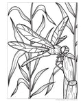 Load image into Gallery viewer, Super Cool Bugs and Spiders Coloring Book