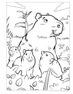 Great Amazon & Rainforest Coloring Book (with stickers)