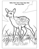 Bunnies, Ducks, and Baby Animals Coloring Book