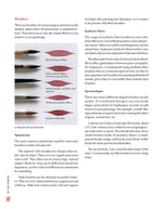 Discovering Watercolor