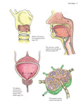 Load image into Gallery viewer, Complete Anatomy Coloring Book, Newly Revised and Updated Edition