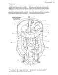Load image into Gallery viewer, Complete Anatomy Coloring Book, Newly Revised and Updated Edition