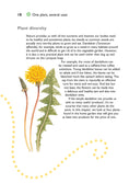 Load image into Gallery viewer, Self-Sufficiency: Herbs and Spices