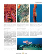Dive Atlas of the World