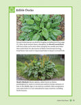 Load image into Gallery viewer, A Guide to Wild Food Foraging