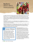Load image into Gallery viewer, A Guide to Wild Food Foraging