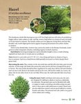Load image into Gallery viewer, A Guide to Wild Food Foraging