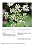 Load image into Gallery viewer, Complete Guide to Growing and Cultivating Herbs and Spices