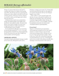 Load image into Gallery viewer, Complete Guide to Growing and Cultivating Herbs and Spices