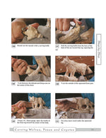 Carving Wolves, Foxes & Coyotes