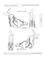 Carving Wolves, Foxes & Coyotes