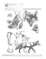 Carving Wolves, Foxes & Coyotes