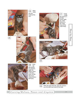 Carving Wolves, Foxes & Coyotes